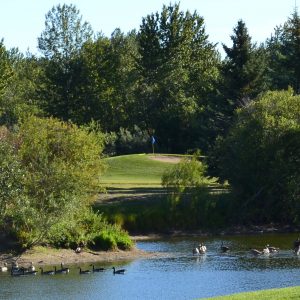 Goose Hummock Golf Resort<br>Monday, July 11